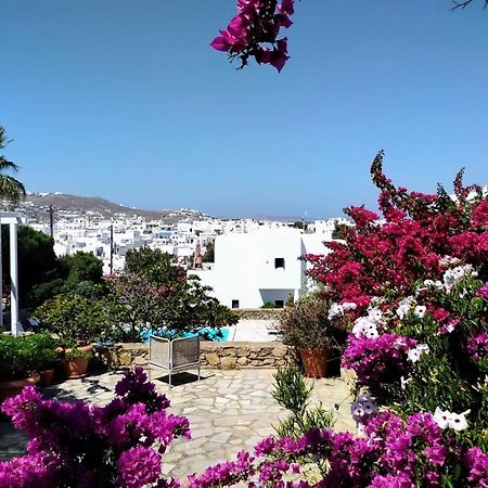 Mykonian White 2Bedrooms Apartment Mykonos Town エクステリア 写真