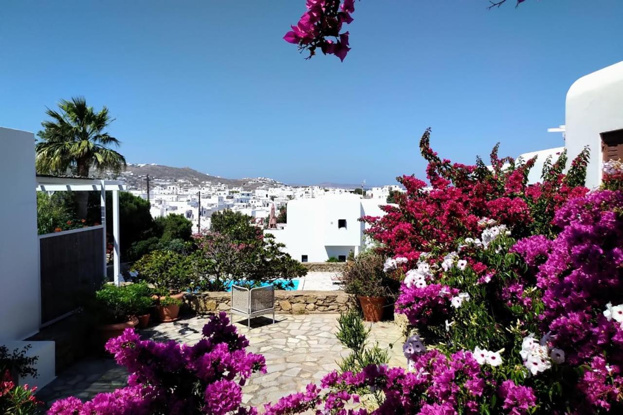 Mykonian White 2Bedrooms Apartment Mykonos Town エクステリア 写真